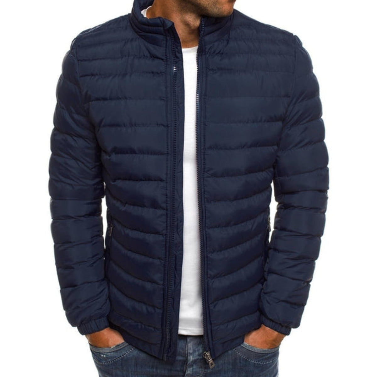 Marino | Chaqueta Acolchada Ligera Hombre Cuello Alto Cremallera